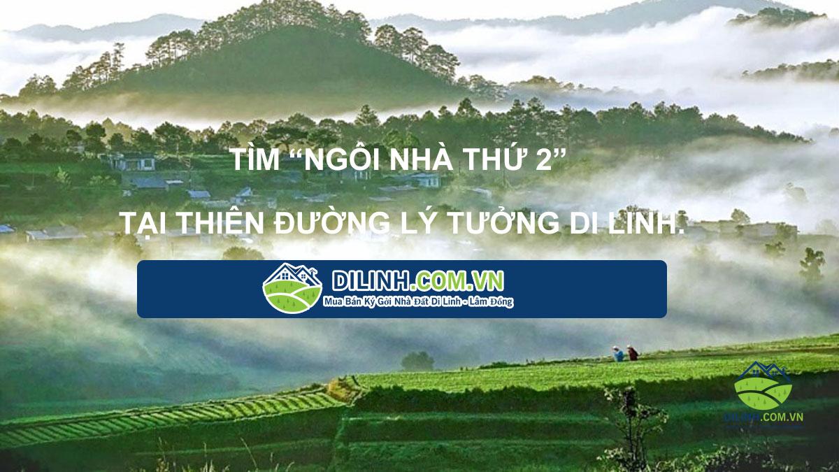 Mua Bán Đất Thổ Cư Di Linh - Giá Rẻ, Pháp Lý Rõ Ràng | Bất Động Sản Lâm Đồng
