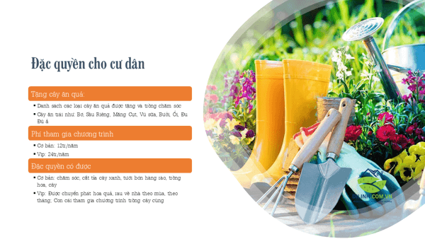 dat nen di linh tea garden 4