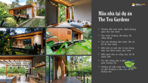 dat nen di linh tea garden 5