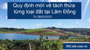 Quy định mới về tách thửa từng loại đất tại Lâm Đồng 1