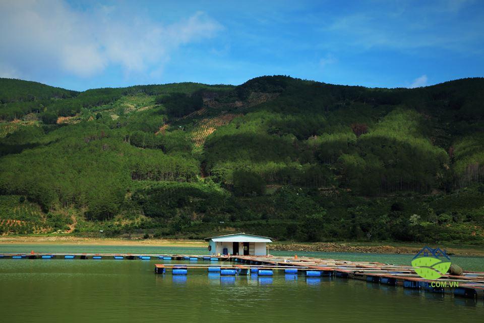 ca tam dong lanh 02