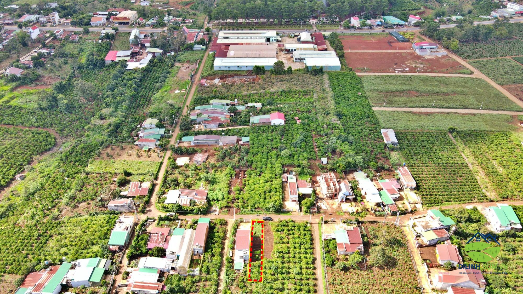 ban dat nen duong le lai di linh 03