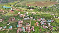 ban dat nen duong le lai di linh 04