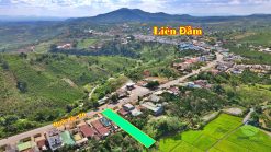 ban dat quoc lo 20 lien dam di linh 04