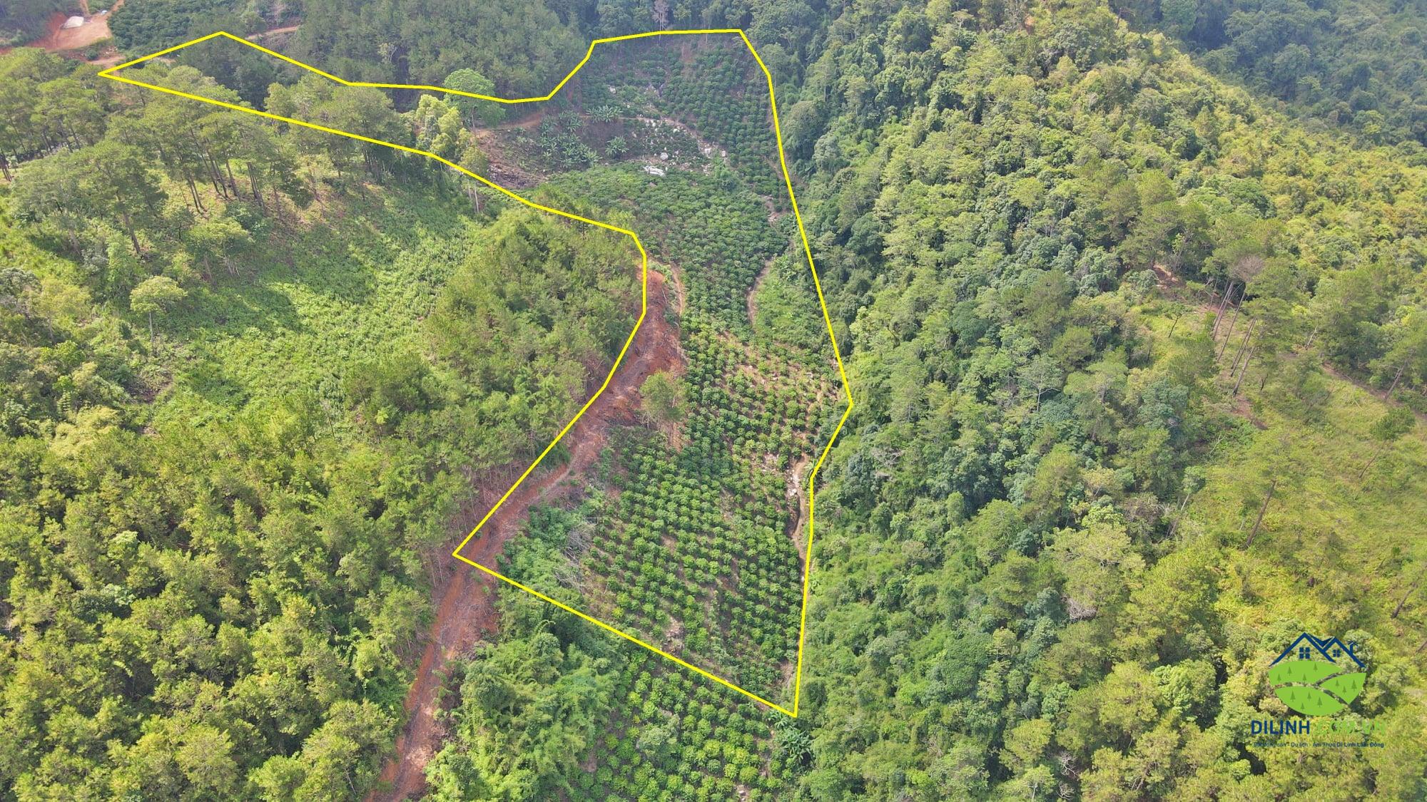 ban dat sa vo di linh 04
