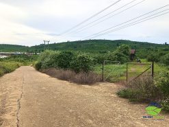 ban 16000m2 dat mat tien thon 3 tan thuong di linh 01