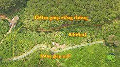 ban dat giap rung thong giap suoi di linh 02