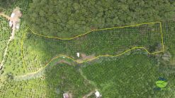 ban dat giap rung thong giap suoi di linh 03