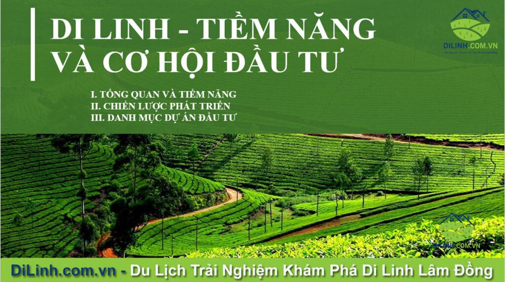 di linh tiem nang va co hoi dau tu 2021