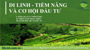 di linh tiem nang va co hoi dau tu 2021