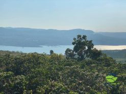Bán Lô Đất View Sông Tân Nghĩa Di Linh 5700m2 Vị Trí Đẹp, Giao Thông Thuận Tiện 1