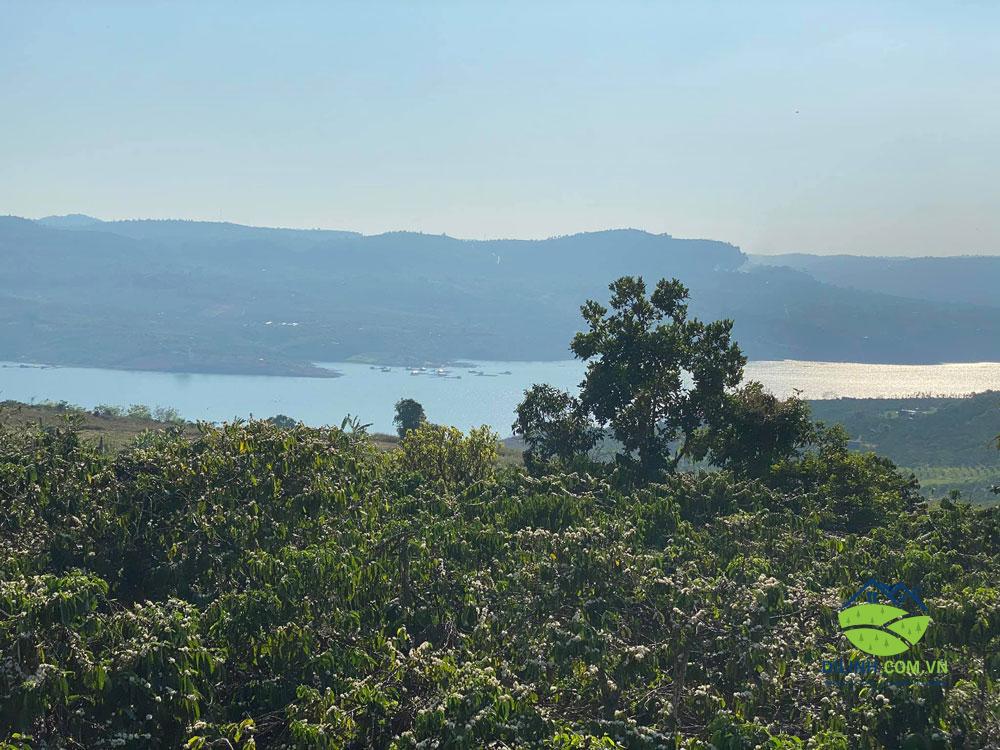 Bán Lô Đất View Sông Tân Nghĩa Di Linh 5700m2 Vị Trí Đẹp, Giao Thông Thuận Tiện 1