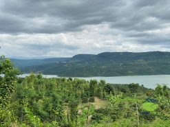 Bán Lô Đất View Sông Tân Nghĩa Di Linh 5700m2 Vị Trí Đẹp, Giao Thông Thuận Tiện 2