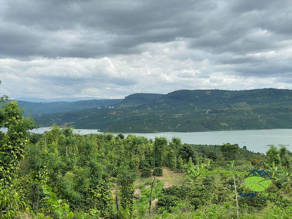 Bán Lô Đất View Sông Tân Nghĩa Di Linh 5700m2 Vị Trí Đẹp, Giao Thông Thuận Tiện 2