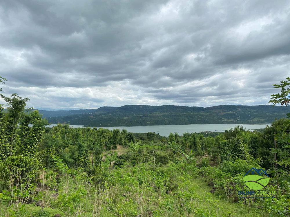 Bán Lô Đất View Sông Tân Nghĩa Di Linh 5700m2 Vị Trí Đẹp, Giao Thông Thuận Tiện