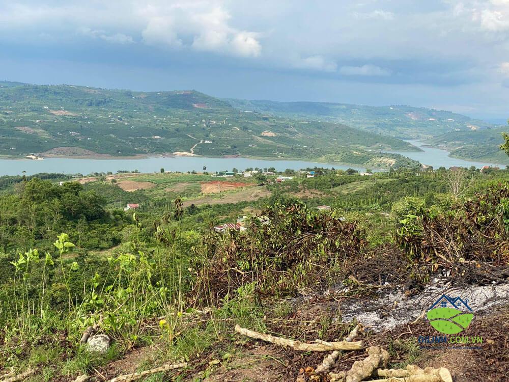 Bán Đất View Sông Gia Bắc Tân Nghĩa Di Linh 2