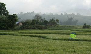 dat vuon xa bao thuan di linh lam dong