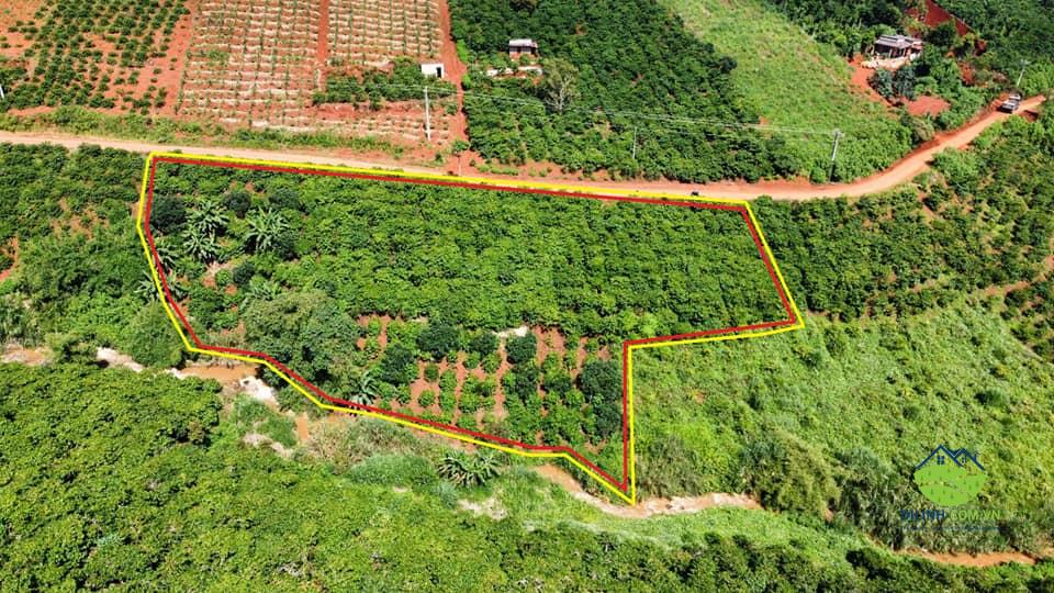 Đất vườn giáp suối, view đẹp Tân Châu Di Linh 104m mặt tiền 1