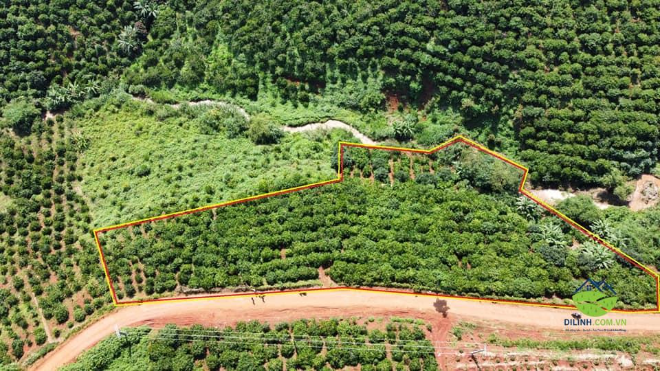 Đất vườn giáp suối, view đẹp Tân Châu Di Linh 104m mặt tiền