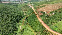 Đất vườn giáp suối, view đẹp Tân Châu Di Linh 104m mặt tiền 3