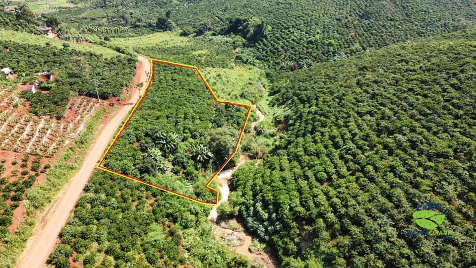 Đất vườn giáp suối, view đẹp Tân Châu Di Linh 104m mặt tiền