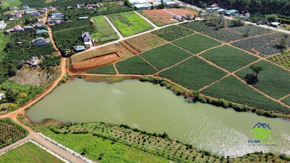 lô nền hồ s di linh
