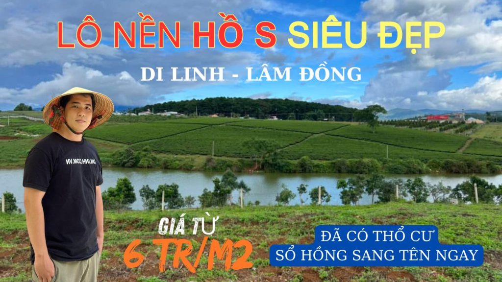ban lô nền hồ s di linh