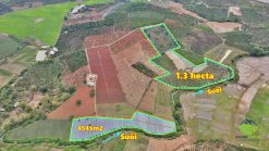 ban dat giap suoi di linh 01