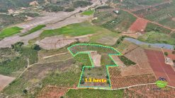 ban dat giap suoi di linh 02