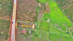 ban dat mat duong luong the vinh di linh 01