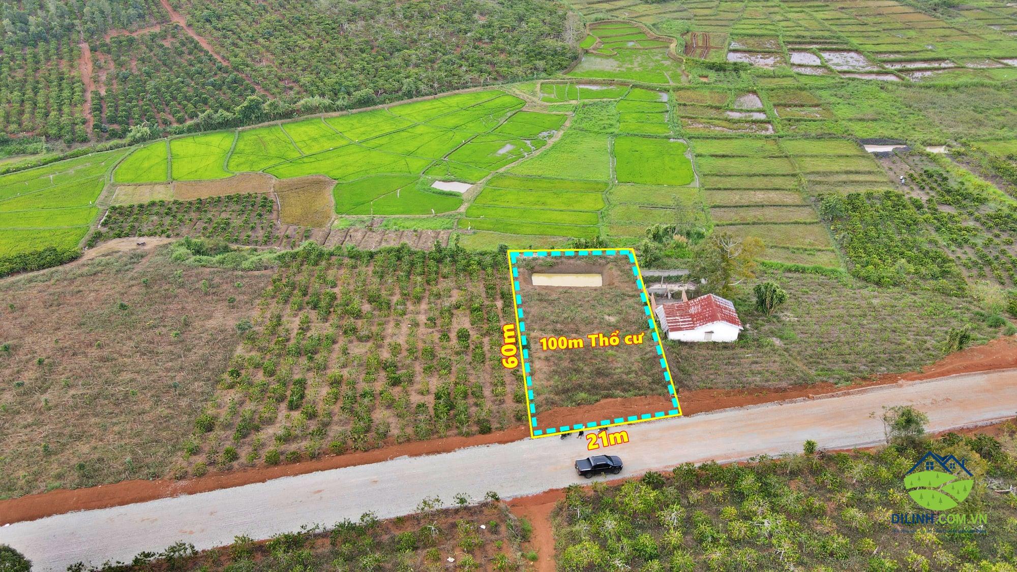 ban dat mat duong luong the vinh di linh 02
