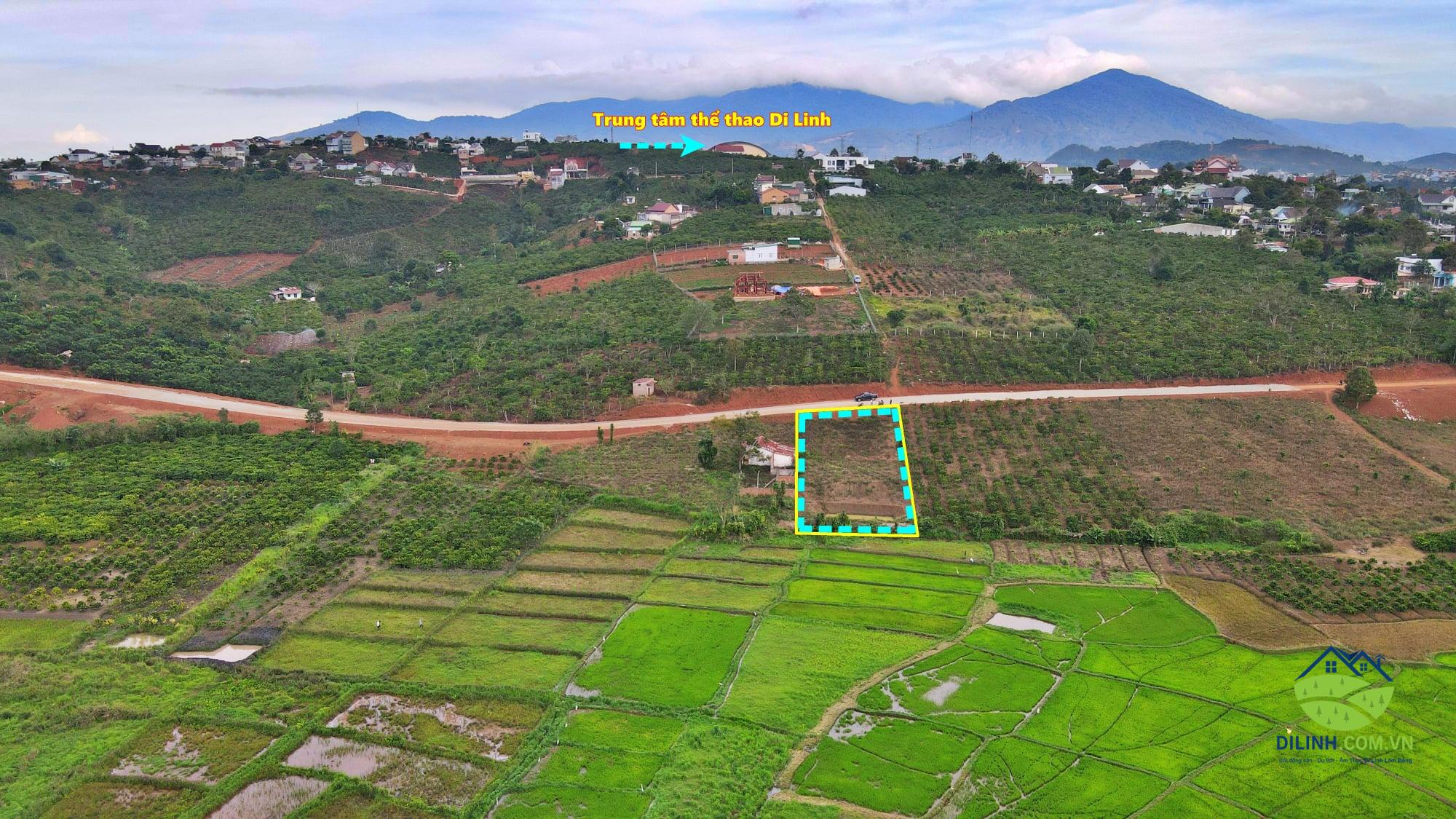 ban dat mat duong luong the vinh di linh 03