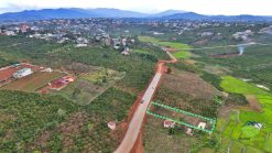 ban dat mat duong luong the vinh di linh 05