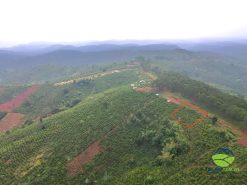 ban dat tan thuong di linh 02