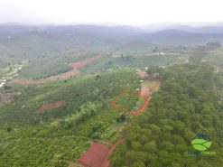 ban dat tan thuong di linh 03