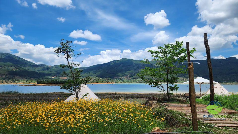Kala CamPark Khu cam trai nghi duong cao cap tai ho Kala 1