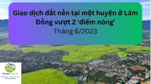 lượng giao dịch bất động sản để bán qua công chứng tháng 6/2023