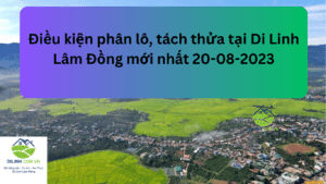 Điều kiện phân lô tách thửa ngày 20082023