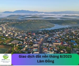 Giao dịch đất nền tháng 82023 Lâm Đồng