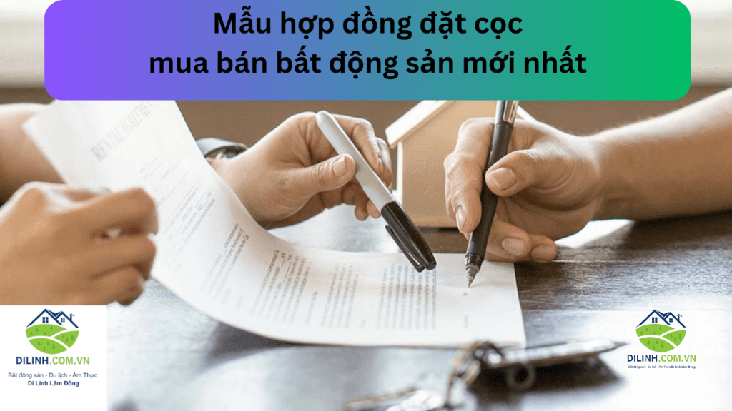 Mẫu hợp đồng đặt cọc mua bán bất động sản mới nhất năm 2023