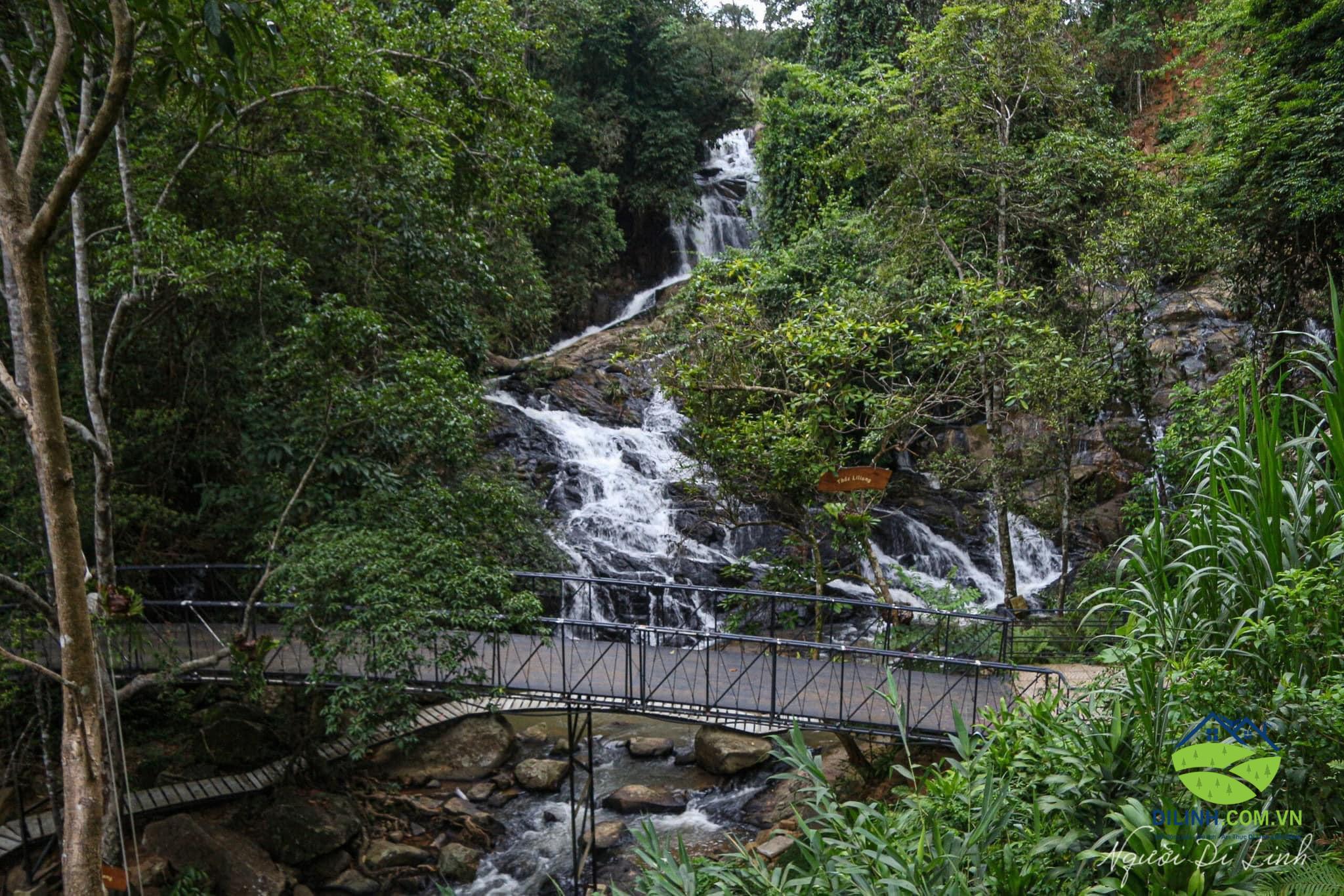 Cẩm Nang Du Lịch Di Linh Lâm Đồng Ăn Gì Ở Đâu Đi đâu ở Di Linh