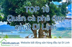 TOP 10 Quán cà phê đẹp nhất Di Linh