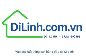 bat dong san Đinh Lạc Di Linh (1)