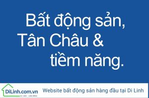 bat dong san tan chau Di Linh