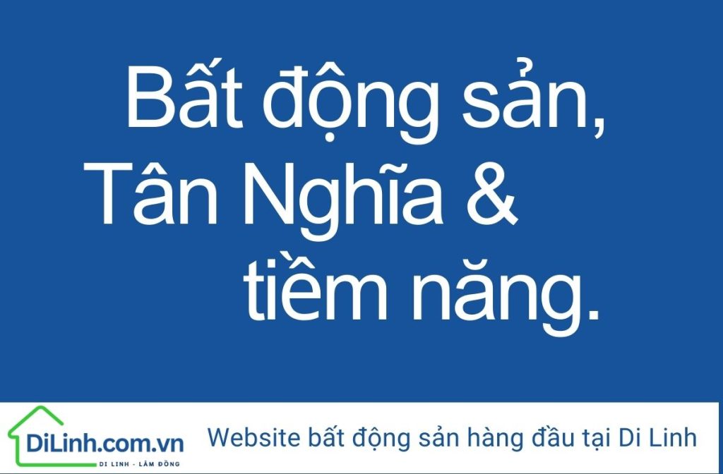 bat dong san tan nghia Di Linh