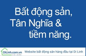 bat dong san tan nghia Di Linh