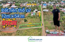 dat nen tho cu 12x54m thi tran di linh