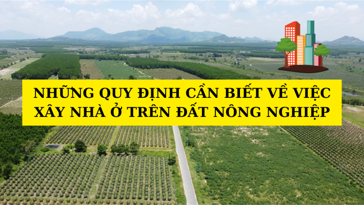 Quy định xây nhà trên đất nông nghiệp Những điều cần biết