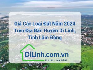 bang gia dat di linh 2024