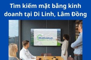 Tìm kiếm mặt bằng kinh doanh tại Di Linh, Lâm Đồng